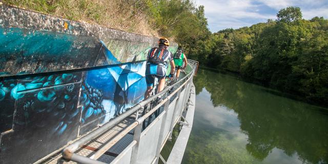 Cycling on the greenway
