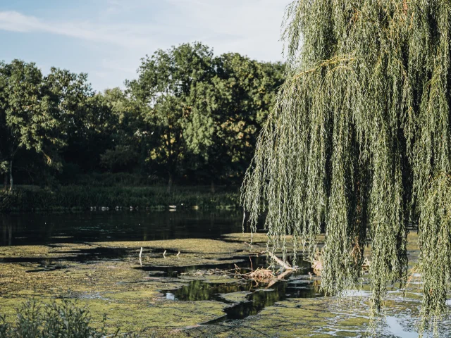 Berges à Pont-de-l'Arche