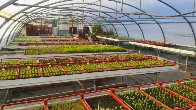 Les Legumes Du Chateau 19