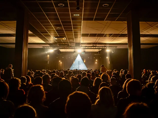 Spectacle C Toy Evenement