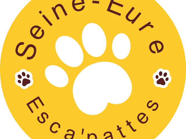 Logo Provisoire Escapattes